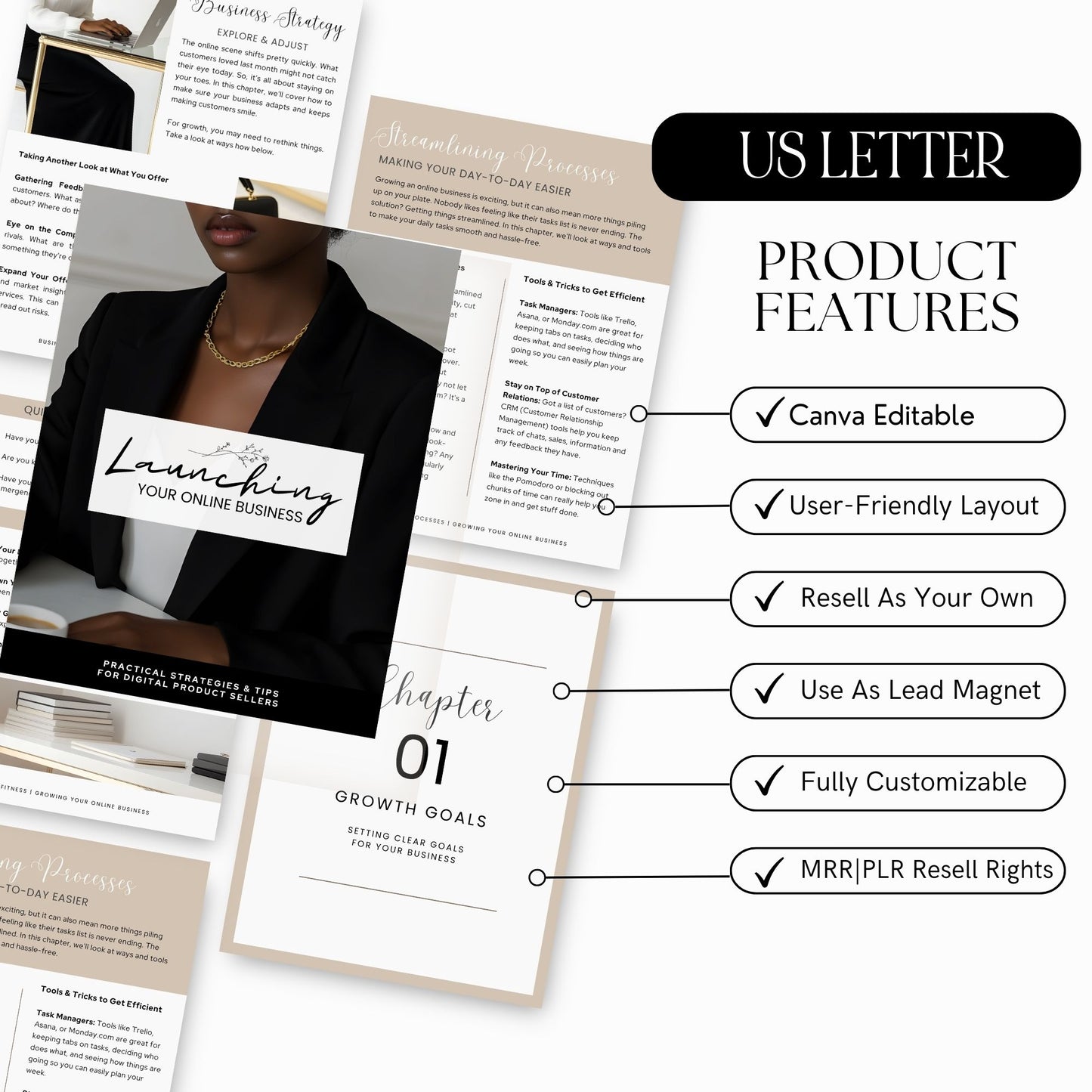 Growing Your Online Business: Proven Strategies to Scale & Sell Digital Products | Includes MRR & PLR Resell Rights