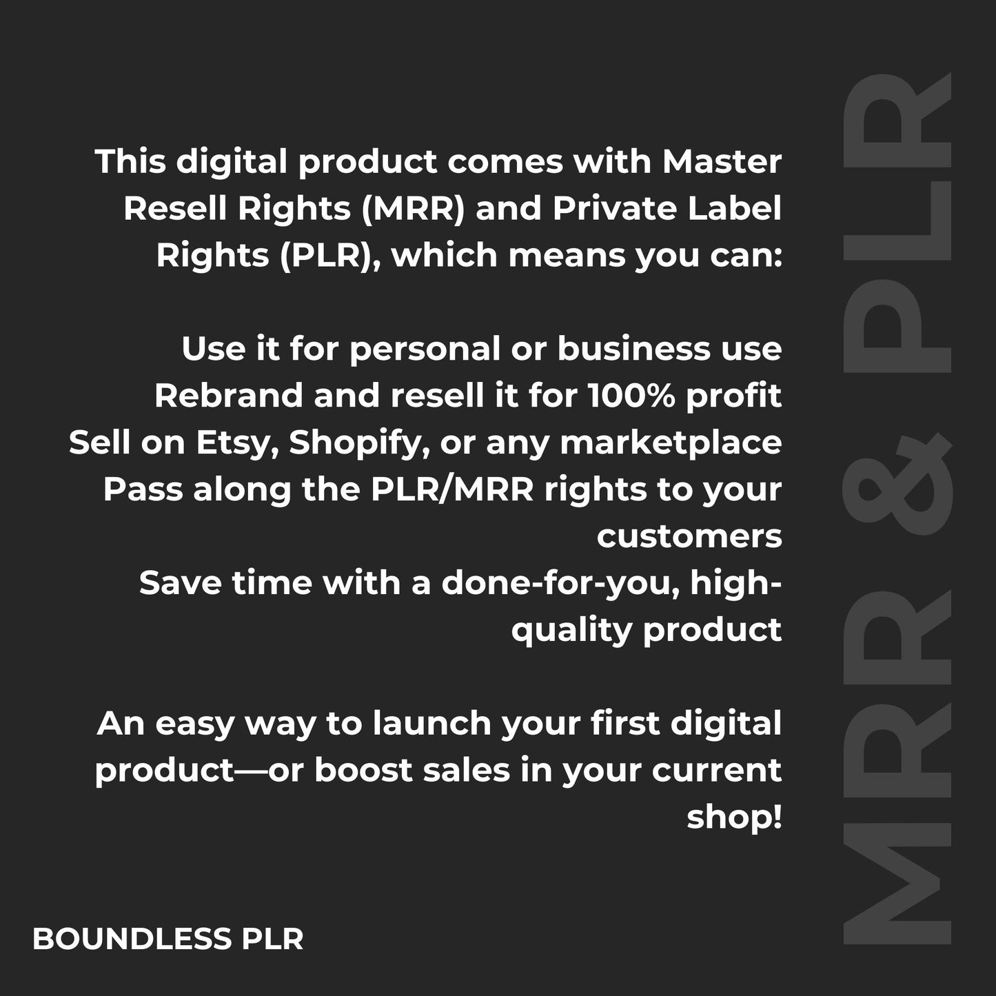 Cleaning Checklist Google Sheets Template | MRR & PLR Resell Rights Boundless PLR