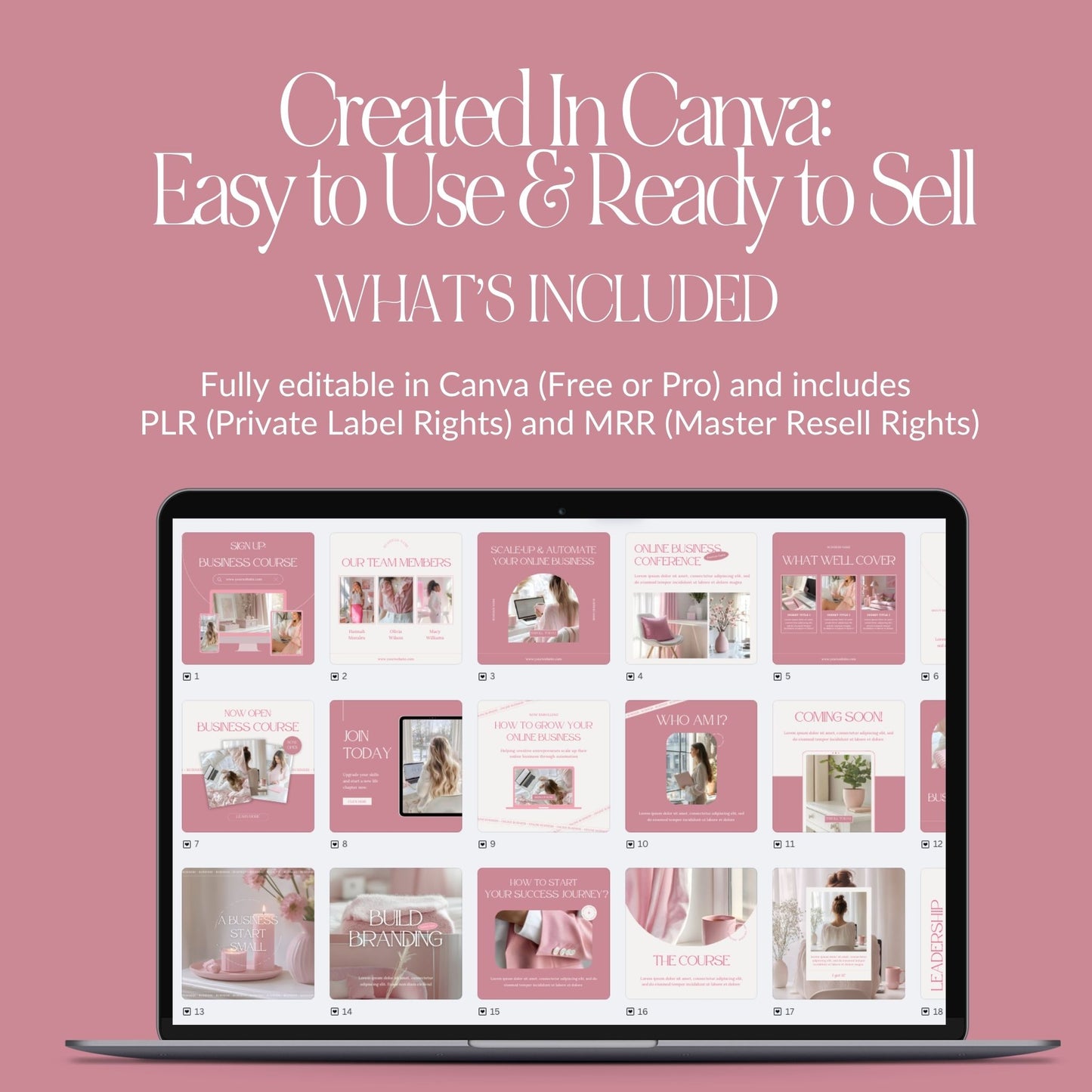 Pink Aesthetic Instagram Templates: 100 Posts and Stories with MRR and PLR Resell Rights