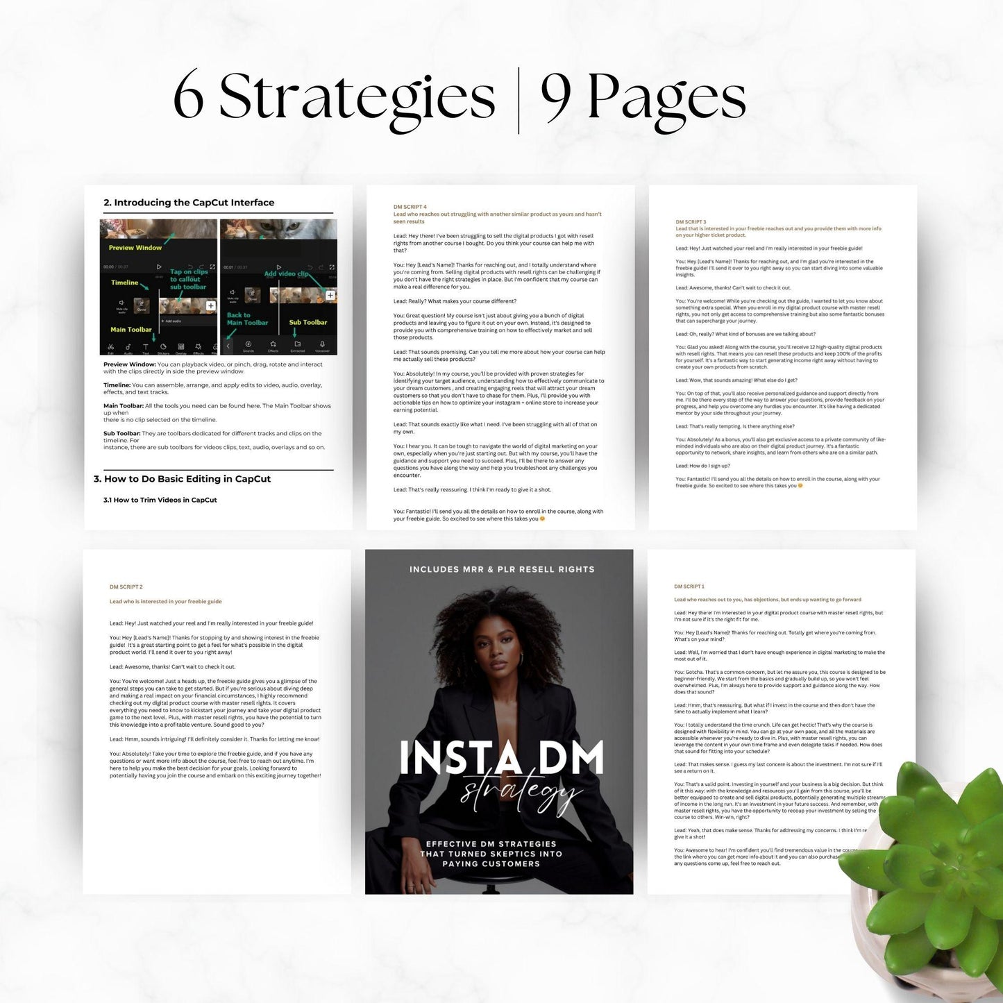Insta DM Scripts & Strategies Guide with MRR & PLR | Convert Leads to Loyal Customers - MRR Marketing eBook - Boundless PLR