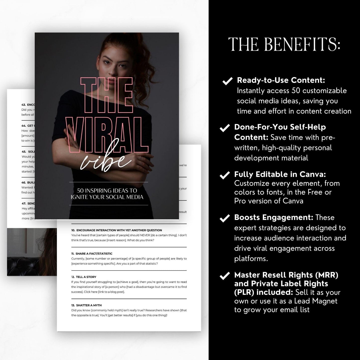 The Viral Vibe: 50 Social Media Strategies | PLR & MRR Digital Guide Boundless PLR