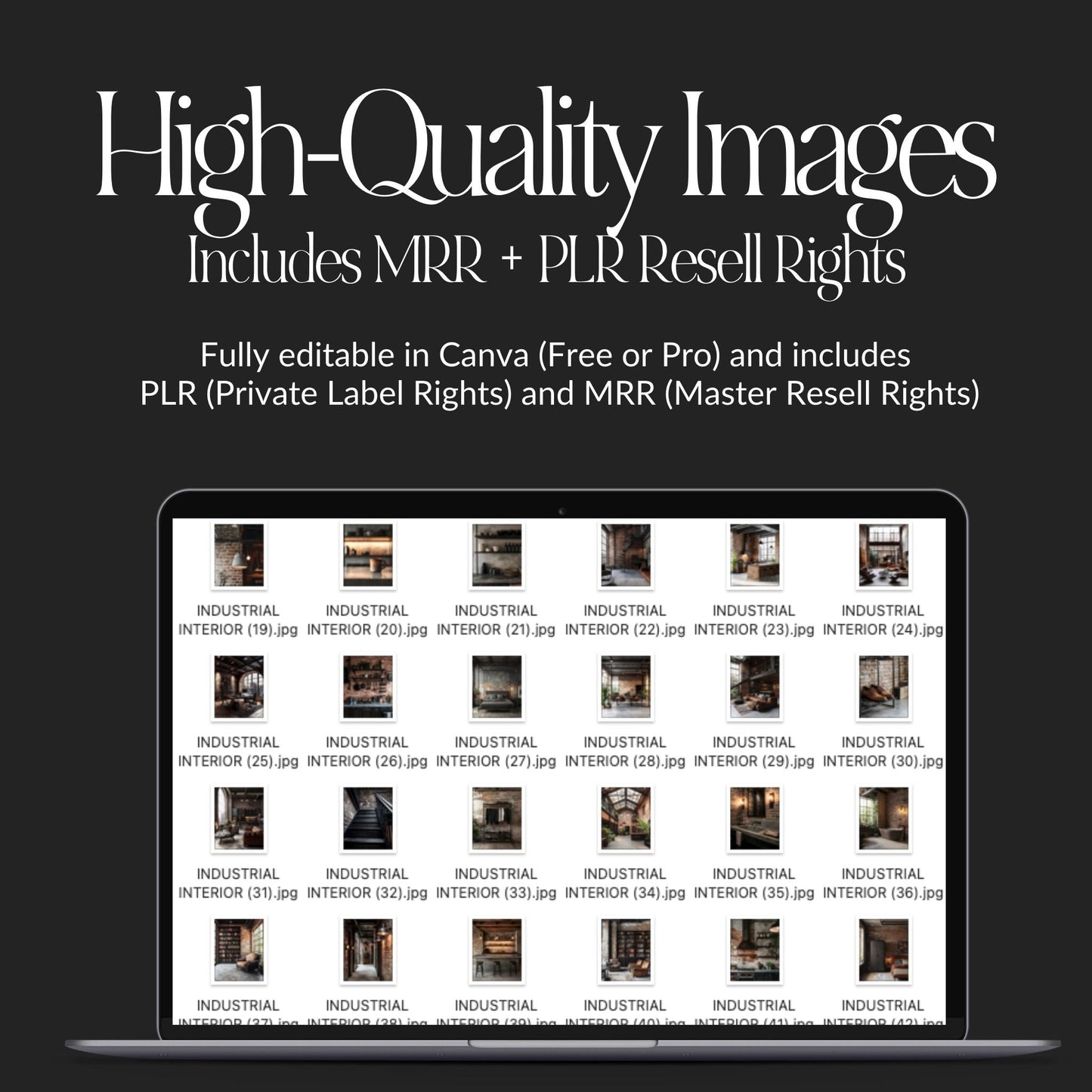 Melanin Woman CEO Stock Photo Collection β 400 Stylish & Elegant Images | PLR Stock Images | MRR & PLR Resell Rights Boundless PLR