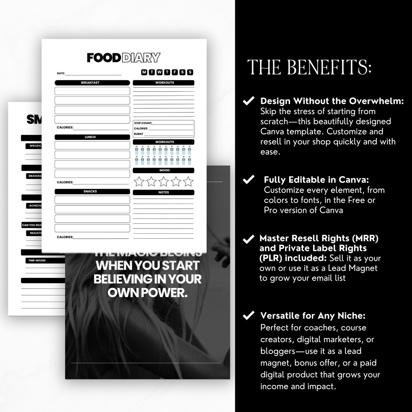 Canva Editable Productivity Planner with PLR & MRR | 75+ Page Digital Planner Template | Daily Weekly Monthly Goal Tracker for Resale