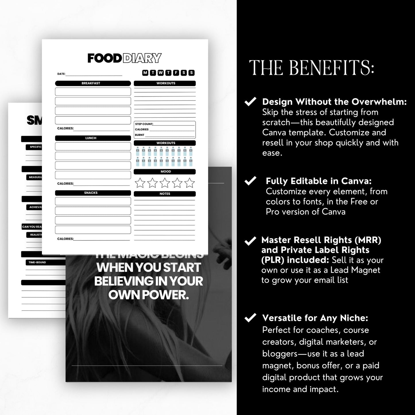 Canva Editable Productivity Planner with PLR & MRR | 75+ Page Digital Planner Template | Daily Weekly Monthly Goal Tracker for Resale Boundless PLR