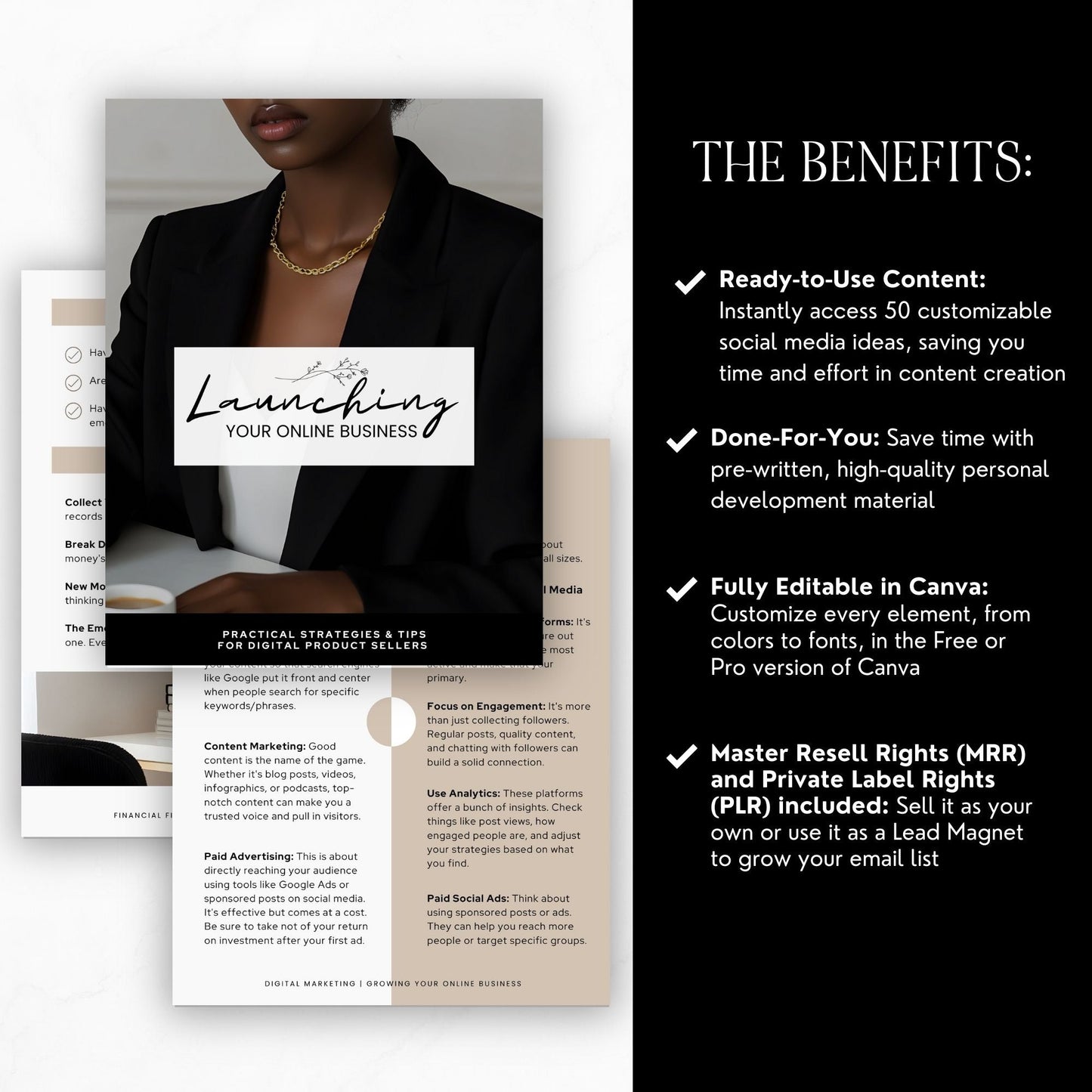 Growing Your Online Business: Proven Strategies to Scale & Sell Digital Products | Includes MRR & PLR Resell Rights Boundless PLR