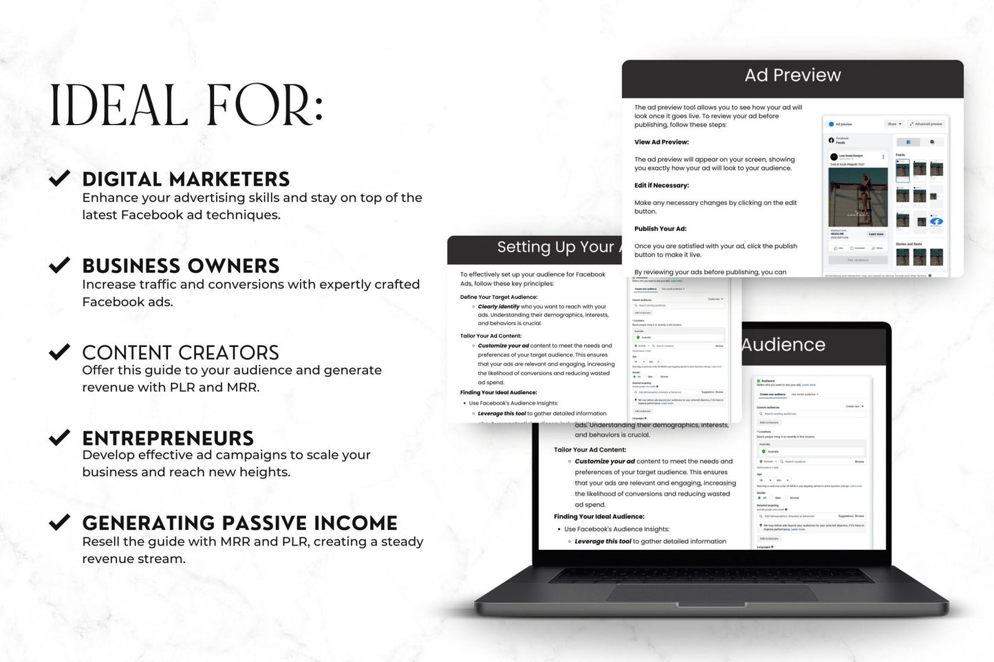 Mastering Facebook Ads: A Beginner's Guide with PLR & MRR - Boundless PLR