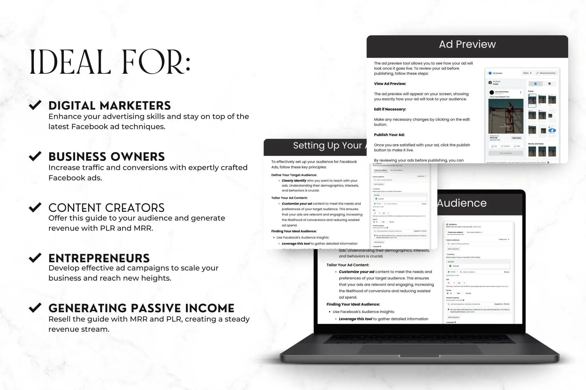 Mastering Facebook Ads: A Beginner's Guide with PLR & MRR - Boundless PLR