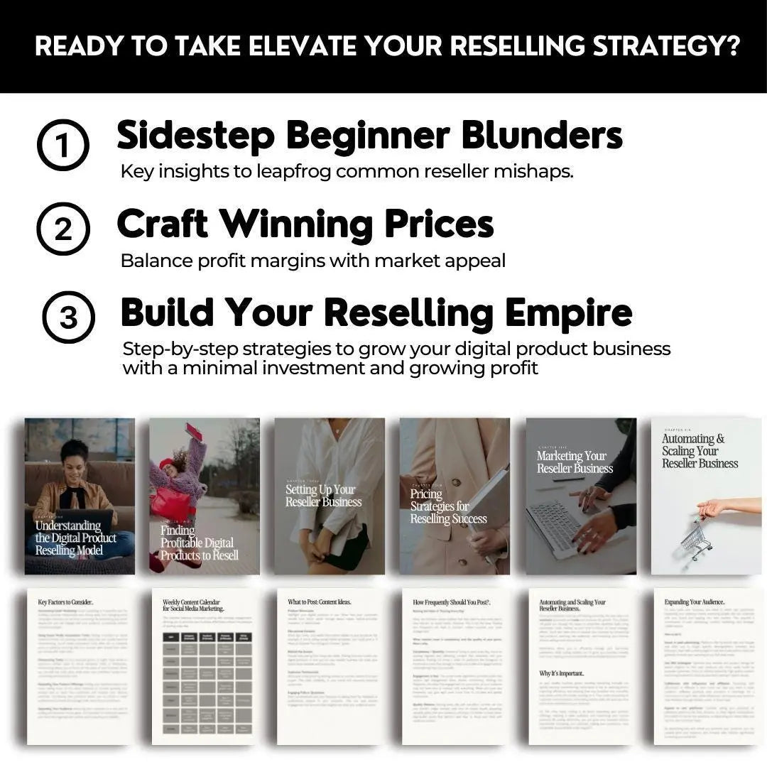 The Reseller’s Playbook – MRR & PLR Digital Product Bundle - Master Resell Rights - Boundless PLR