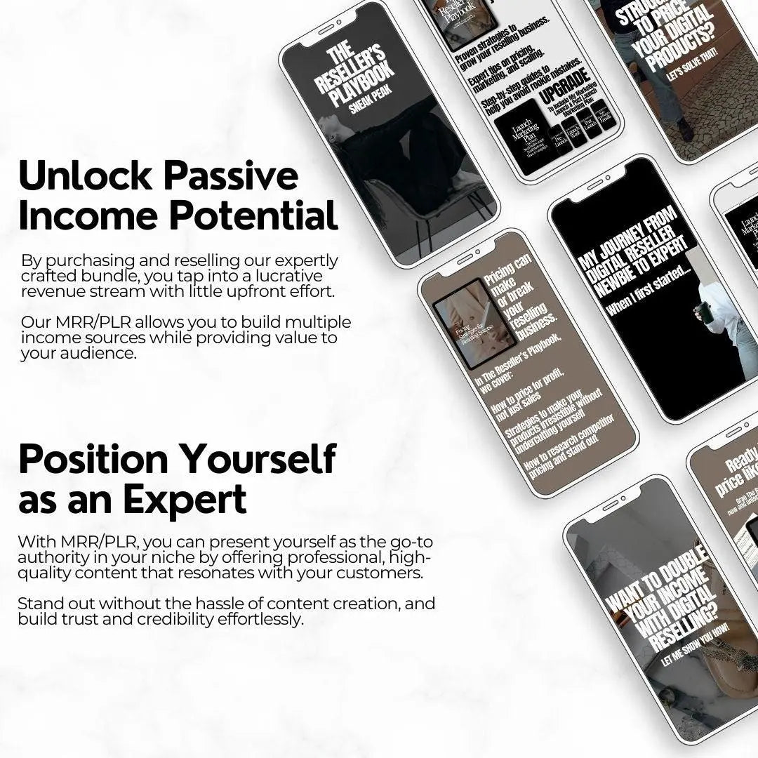 The Reseller’s Playbook – MRR & PLR Digital Product Bundle - Master Resell Rights - Boundless PLR