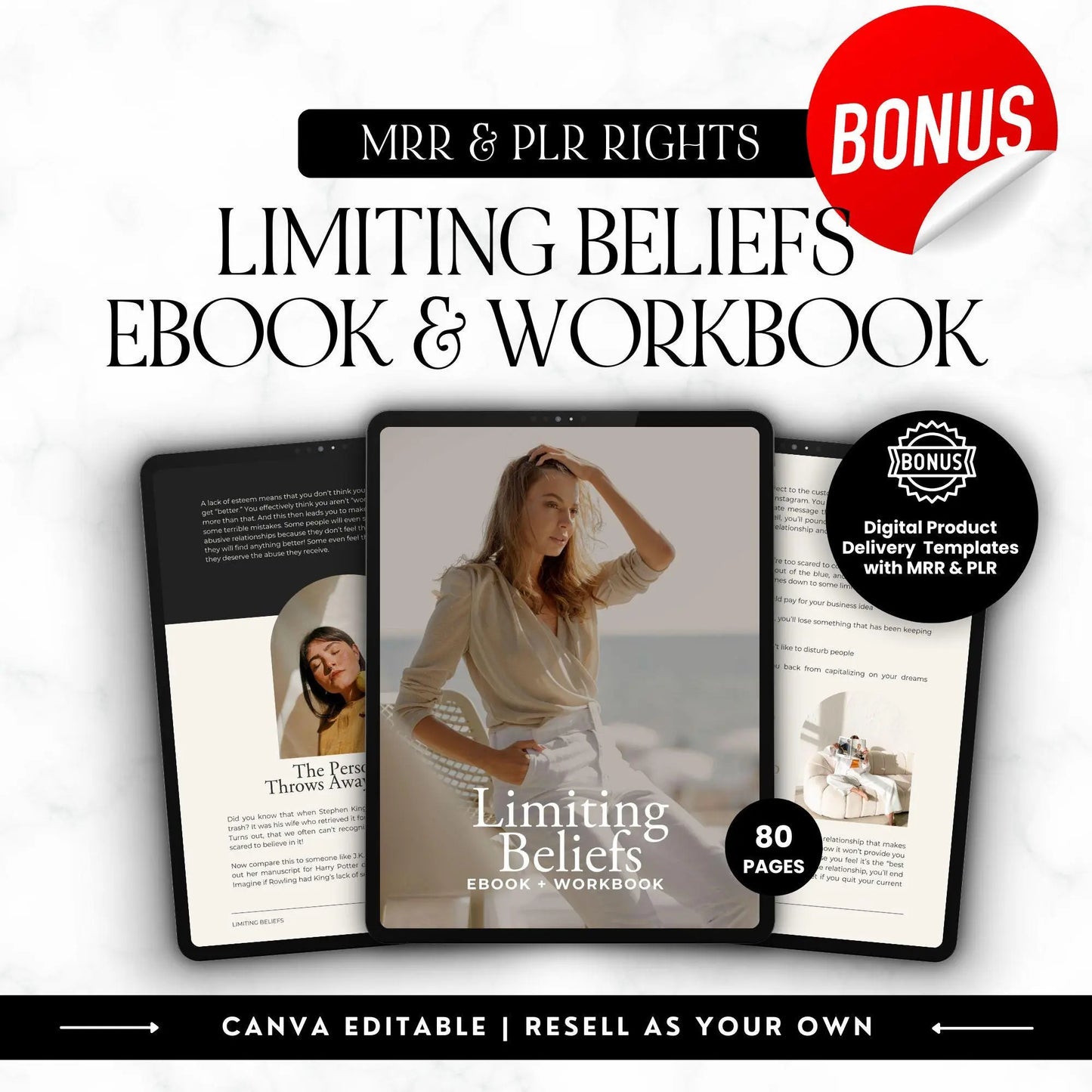 The Reseller’s Playbook – MRR & PLR Digital Product Bundle - Master Resell Rights - Boundless PLR
