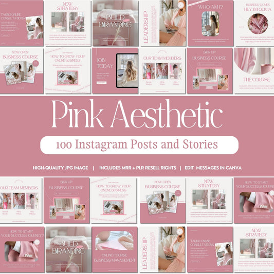 Pink Aesthetic Instagram Templates: 100 Posts and Stories with MRR and PLR Resell Rights - Boundless PLR