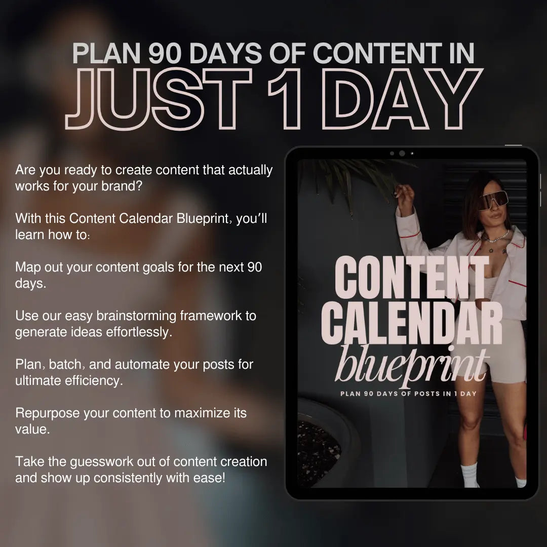Lead Magnet Bundle | Editable Canva Templates with PLR & MRR Rights | Done For You - PLR Bundles - Boundless PLR