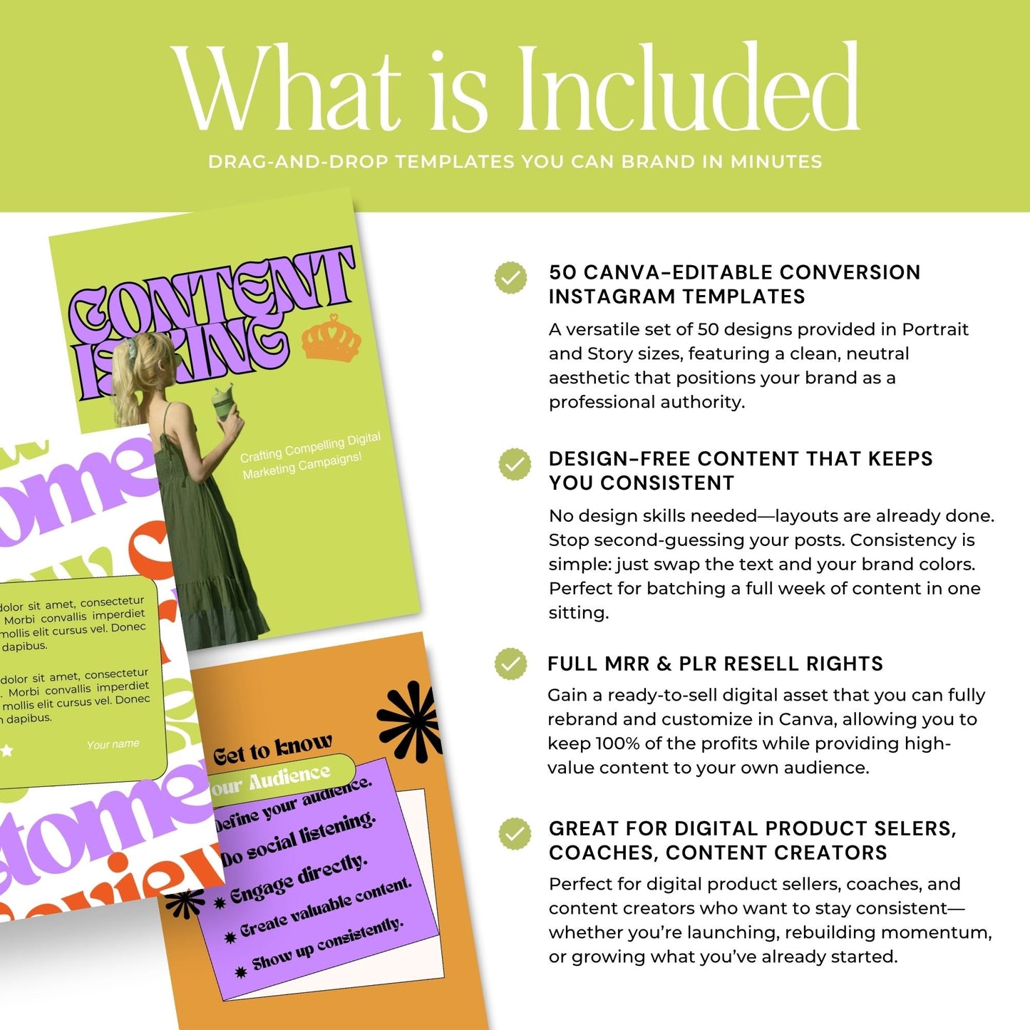 Scroll-Stopping Instagram Templates | 50 Canva Story Templates for Digital Marketers, Coaches & Social Media Managers Boundless PLR