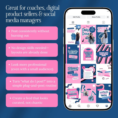PLR Instagram Templates, Digital Marketing Canva — Story + Post Bundle with MRR & PLR Rights Boundless PLR