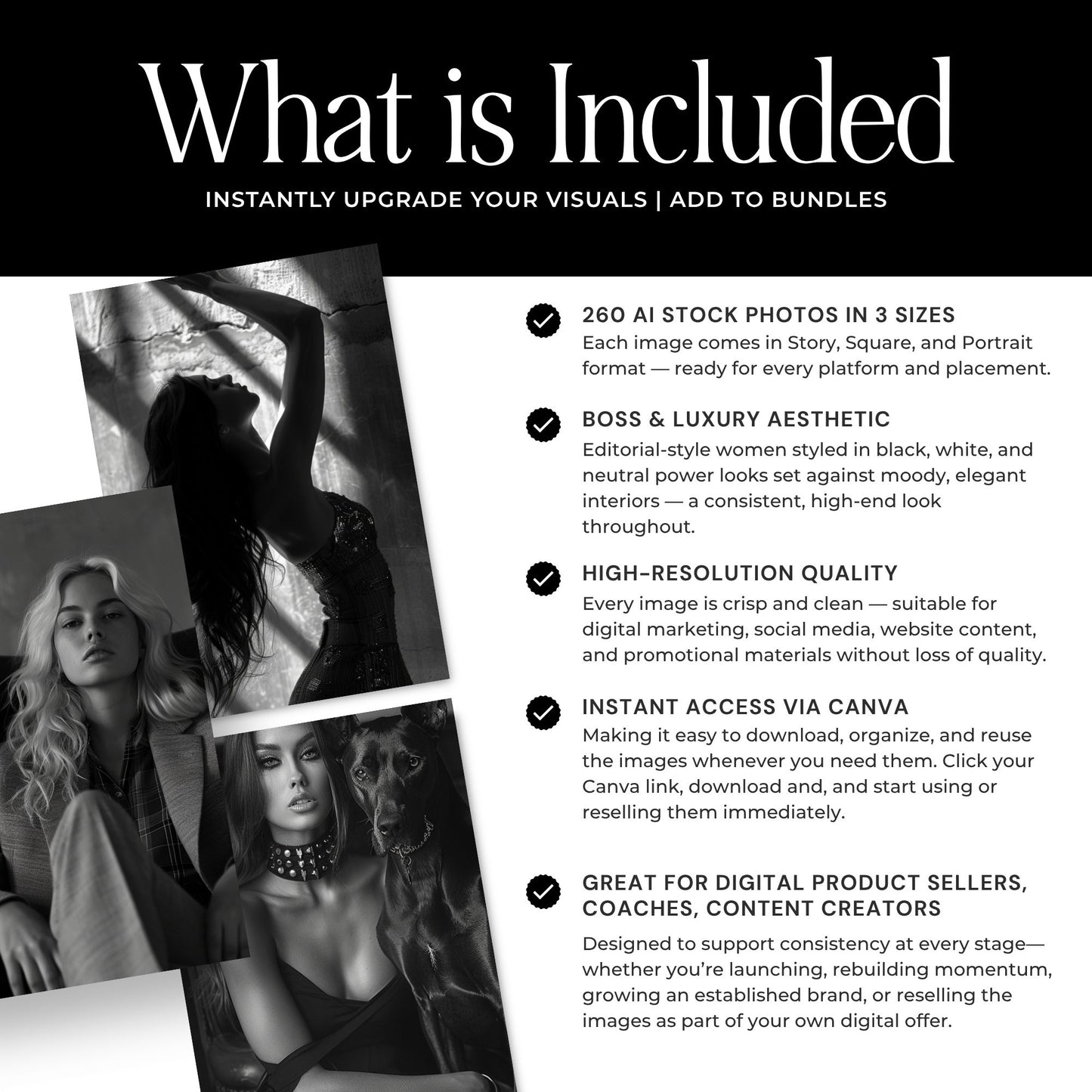 260 Luxe Dark Aesthetic Stock Photos with PLR & MRR Rights | Instant Download
