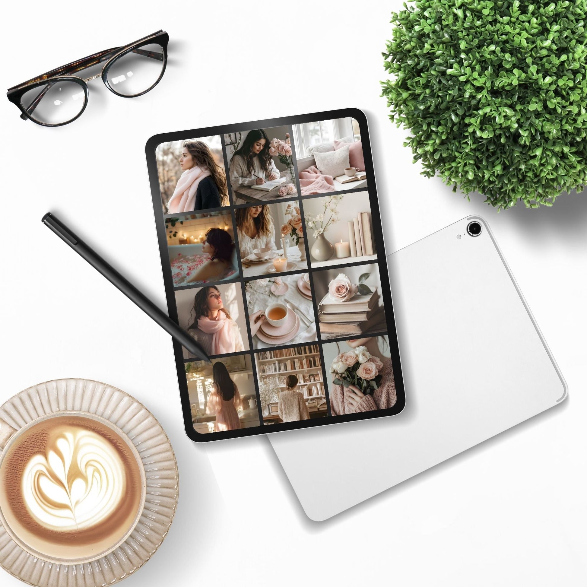 Soft Rose & Cashmere Aesthetic Stock Photos | MRR + PLR Digital Assets Boundless PLR