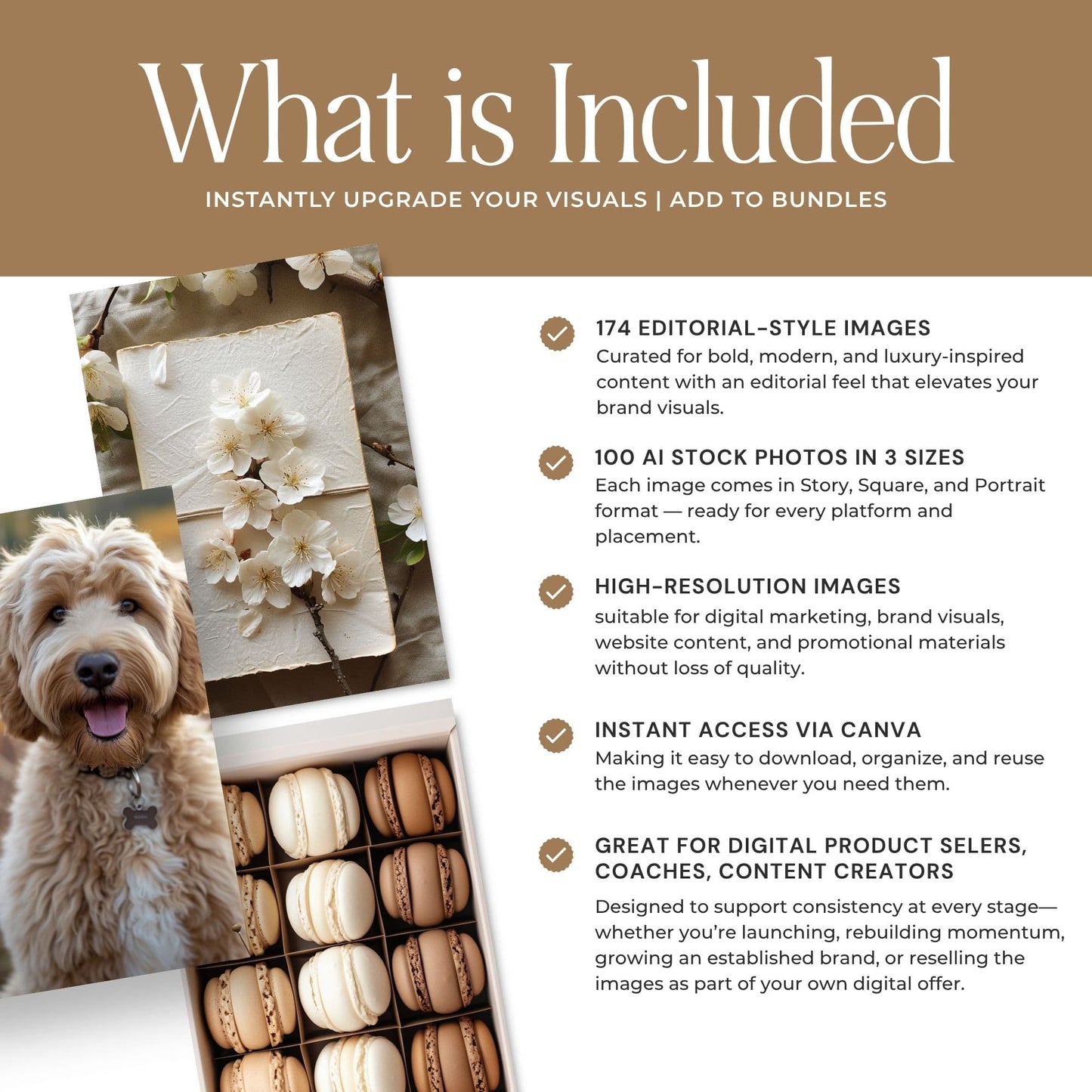 Cream & White AI Stock Image Collection | PLR & MRR Resell Rights