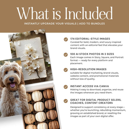 Cream & White AI Stock Image Collection | PLR & MRR Resell Rights