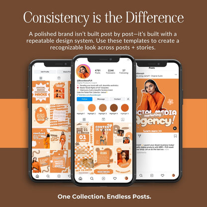 50 Animated Instagram Templates with MRR PLR Resell Rights | Canva Stories + Portrait + Bonuses Boundless PLR