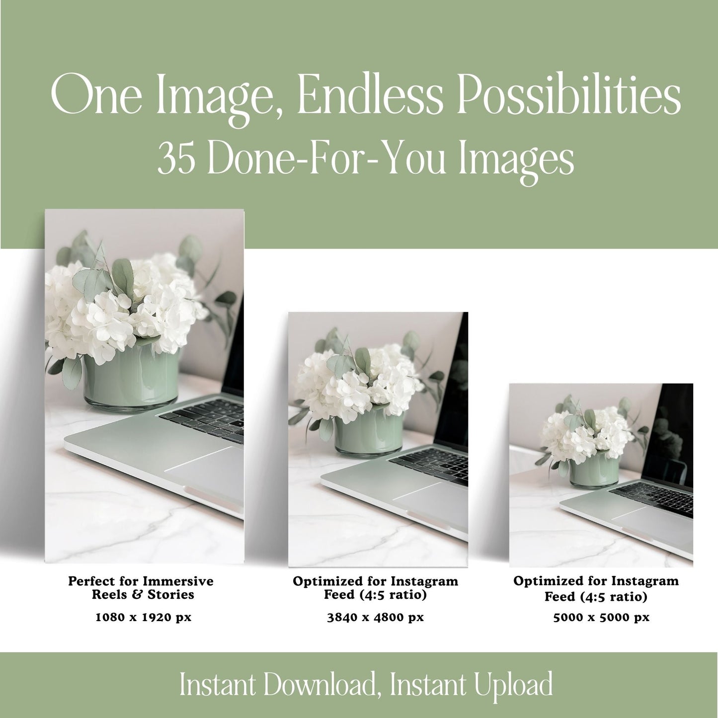 Sage Green Photo Pack (35 Canva Images) + MRR/PLR Resell Rights | 3 Sizes Boundless PLR