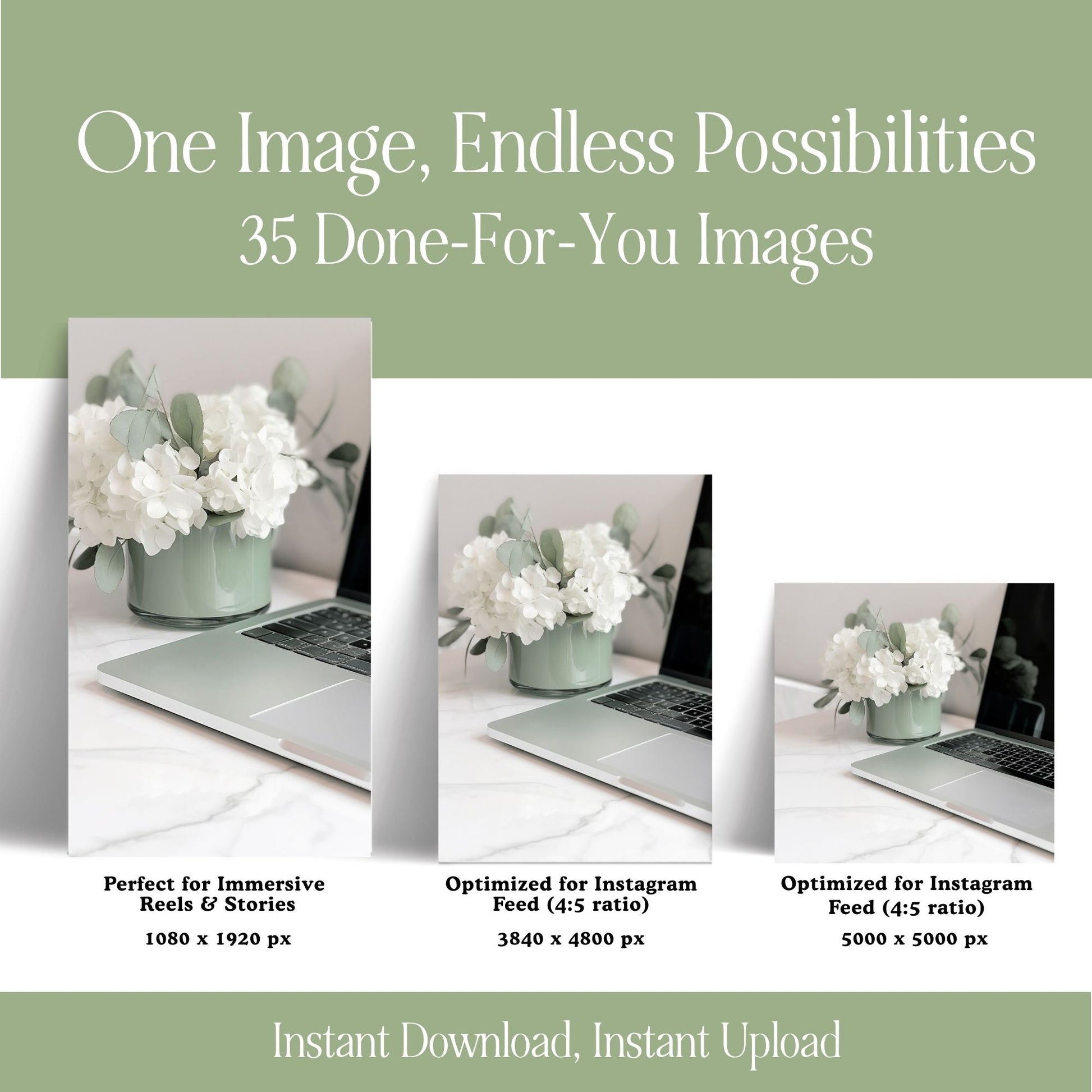 Sage Green Photo Pack (35 Canva Images) + MRR/PLR Resell Rights | 3 Sizes Boundless PLR