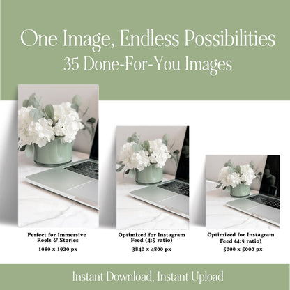 Sage Green Photo Pack (35 Canva Images) + MRR/PLR Resell Rights | 3 Sizes Boundless PLR