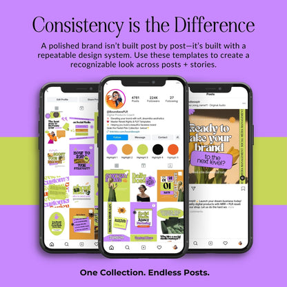 Scroll-Stopping Instagram Templates | 50 Canva Story Templates for Digital Marketers, Coaches & Social Media Managers Boundless PLR