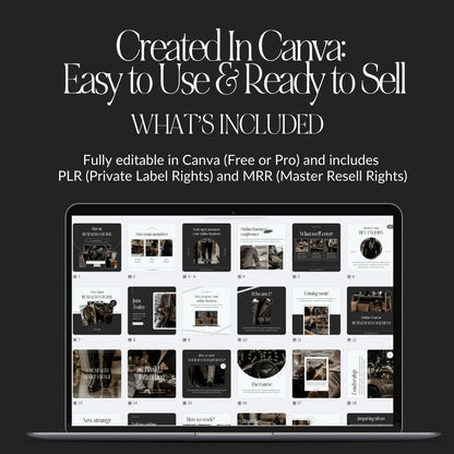 PLR Instagram Luxe Men's Templates Bundle: 100 Posts, Stories & 100 Bonus AI-Generated Images, Canva Editable - Boundless PLR