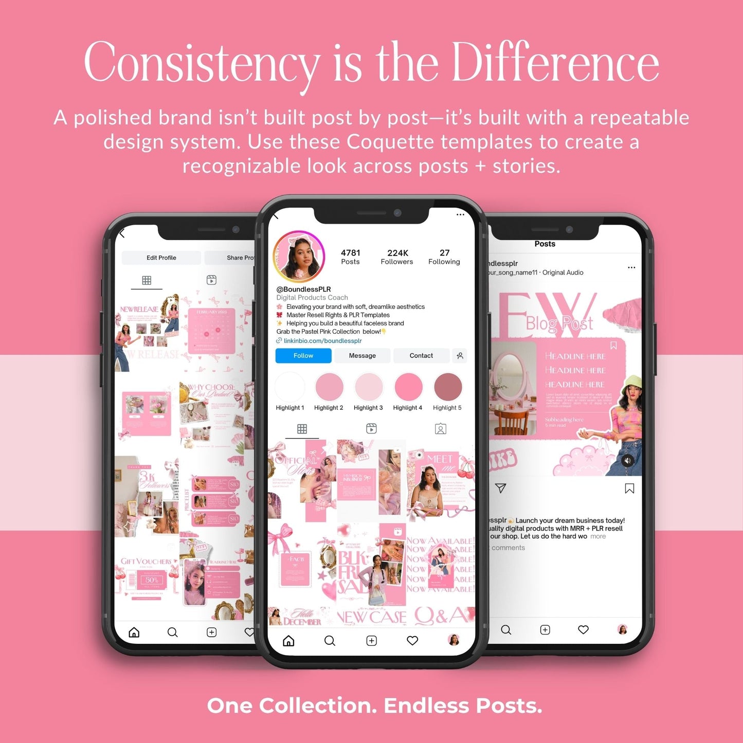 Pink Coquette Aesthetic Instagram Templates, Canva Editable Small Social Media Bundle for Small Business, MRR PLR Digital Product Boundless PLR