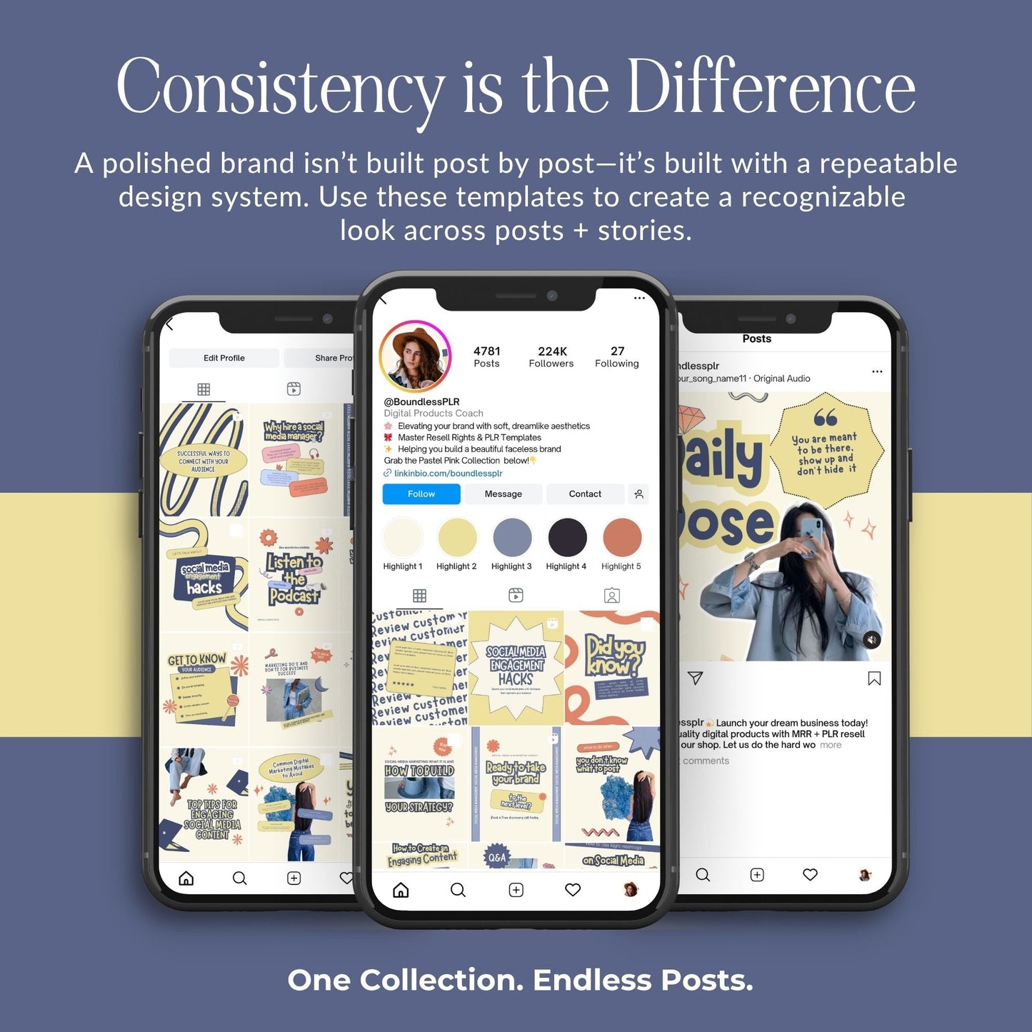 PLR Social Media Templates Canva Editable, Digital Marketing Instagram Templates, Story & Portrait, MRR PLR Boundless PLR