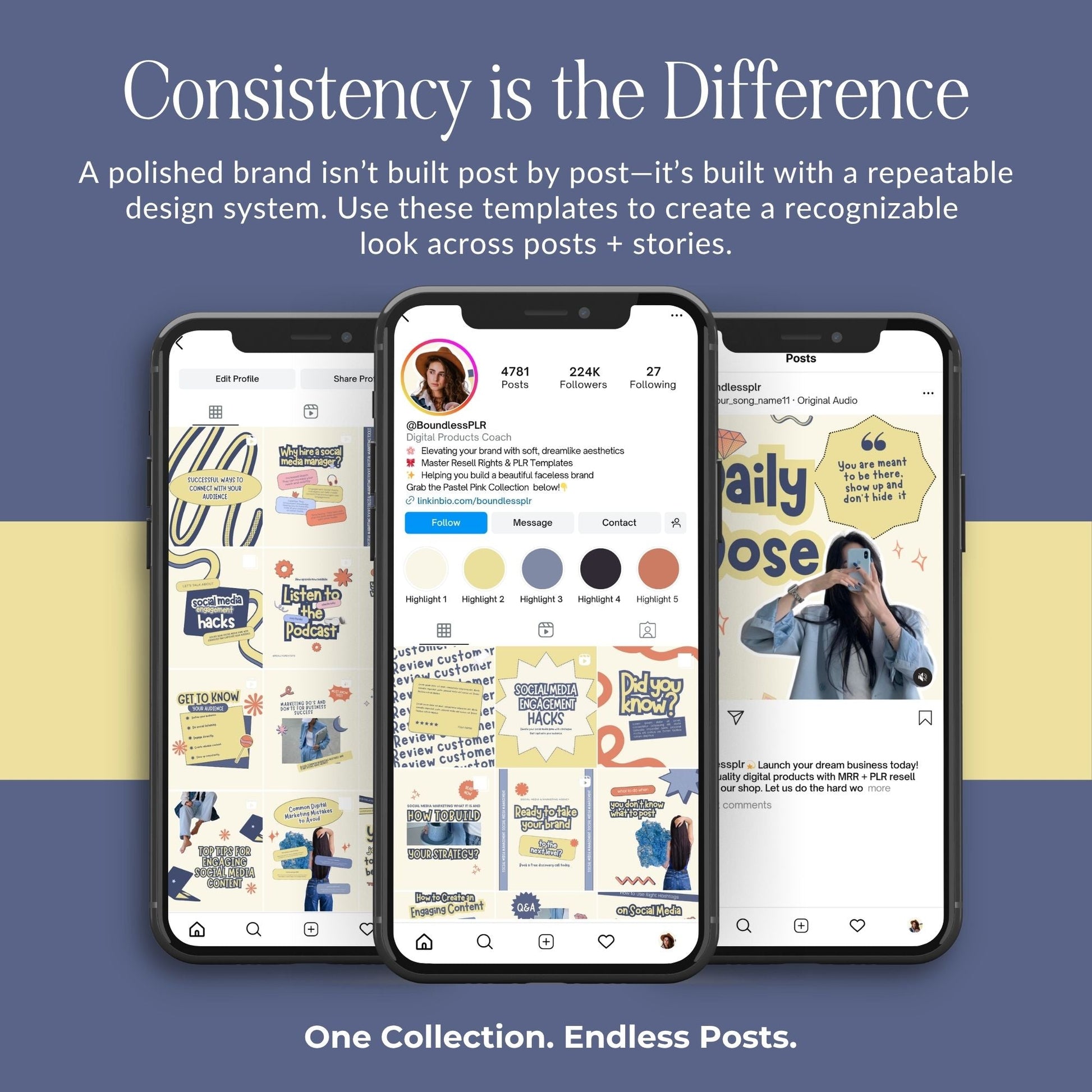 PLR Social Media Templates Canva Editable, Digital Marketing Instagram Templates, Story & Portrait, MRR PLR Boundless PLR
