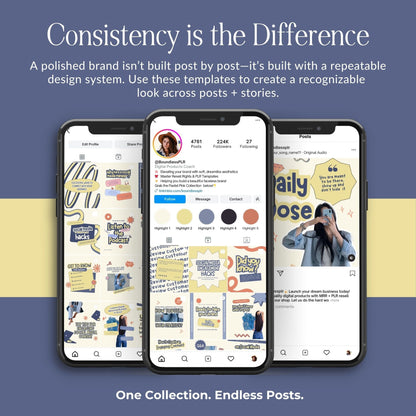 PLR Social Media Templates Canva Editable, Digital Marketing Instagram Templates, Story & Portrait, MRR PLR Boundless PLR