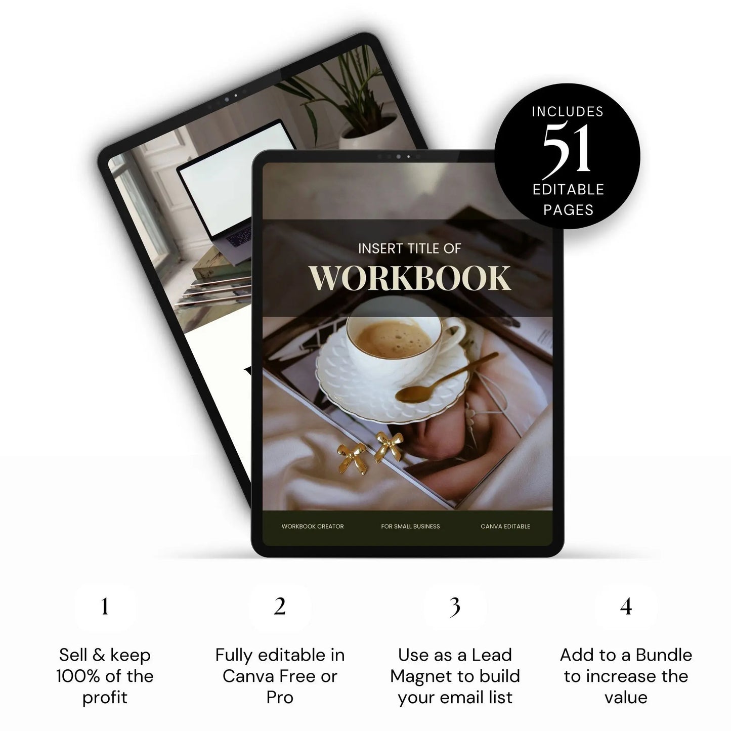Editable Canva Workbook & Ebook Templates for Coaches & Digital Product Sellers – Includes MRR, PLR & Pinterest Strategy Bonus Boundless PLR