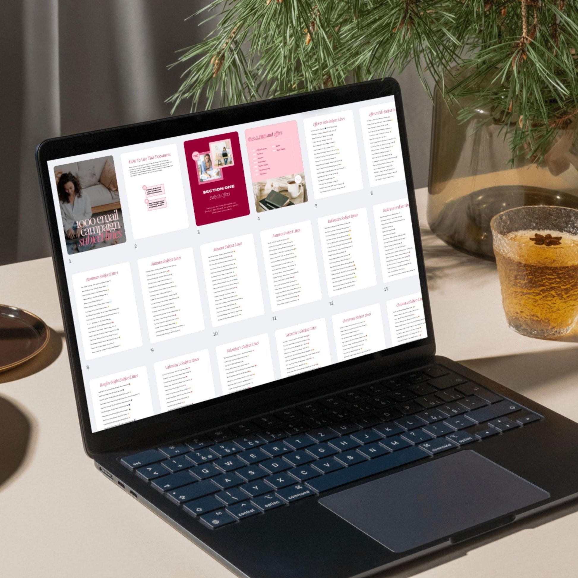 1,000 Email Subject Lines | PLR & MRR Digital Product - PLR Email Markting - Boundless PLR