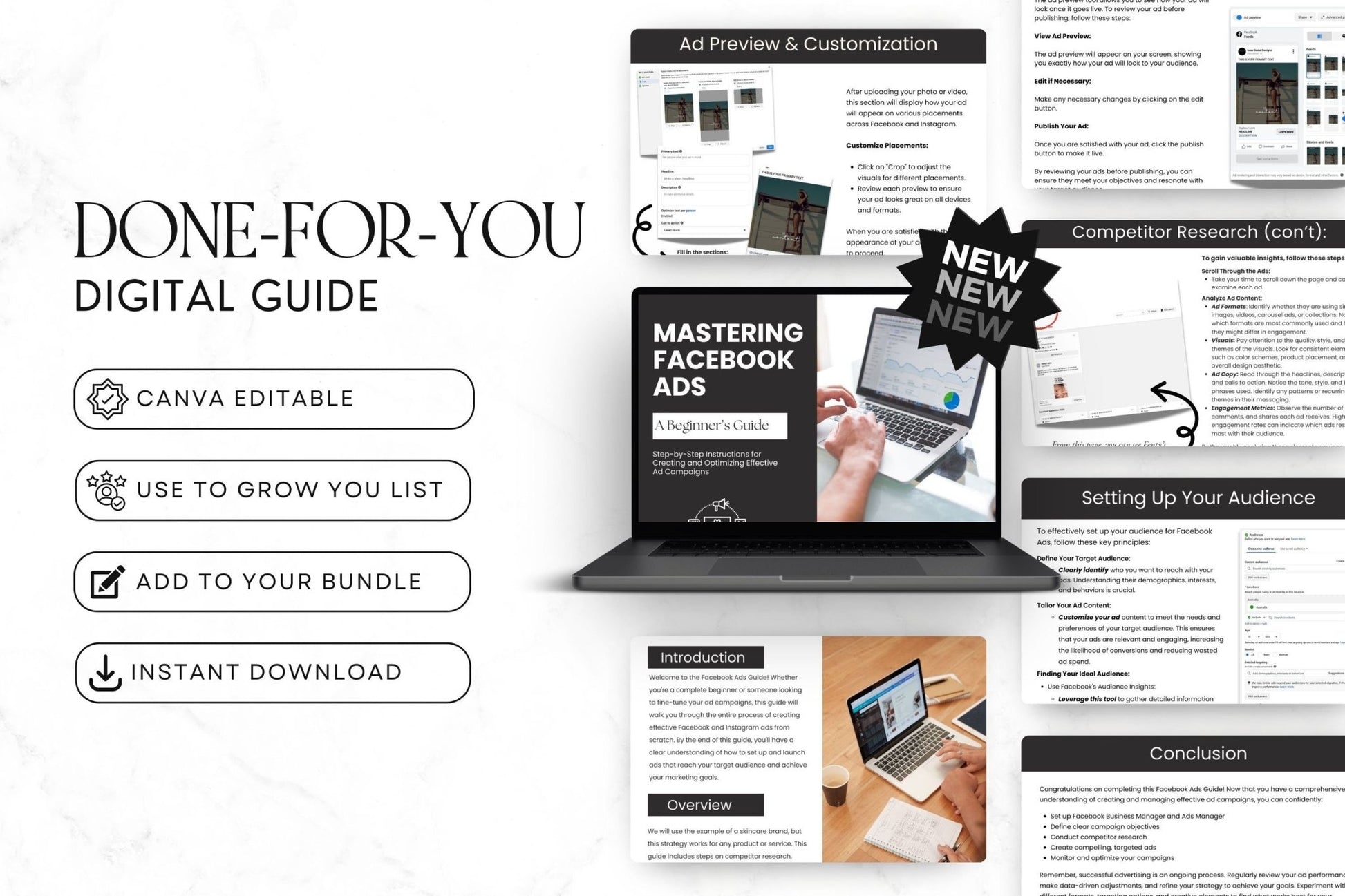 Mastering Facebook Ads: A Beginner's Guide with PLR & MRR - Boundless PLR