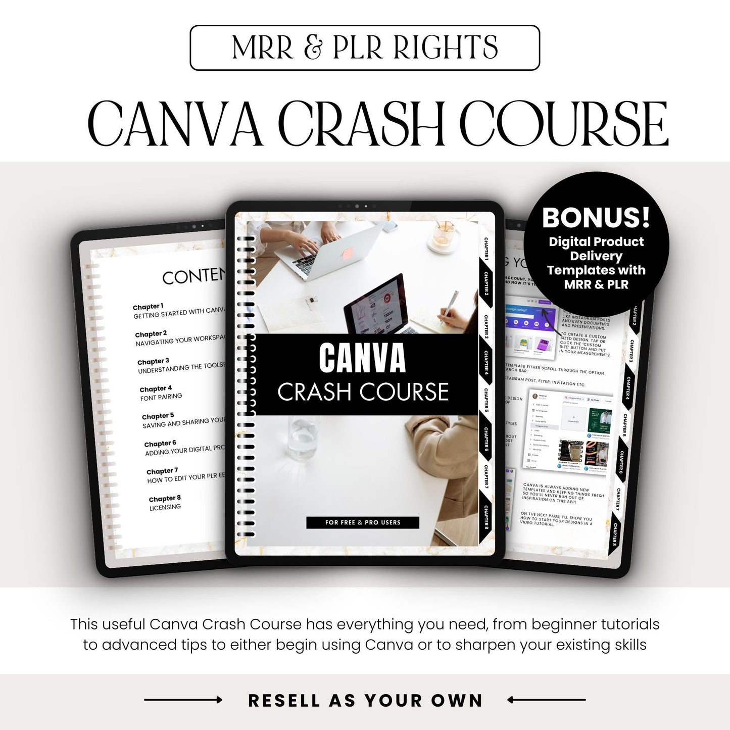 Master Canva with Our Comprehensive Canva Crash Course - PLR & MRR Included - Boundless PLR
