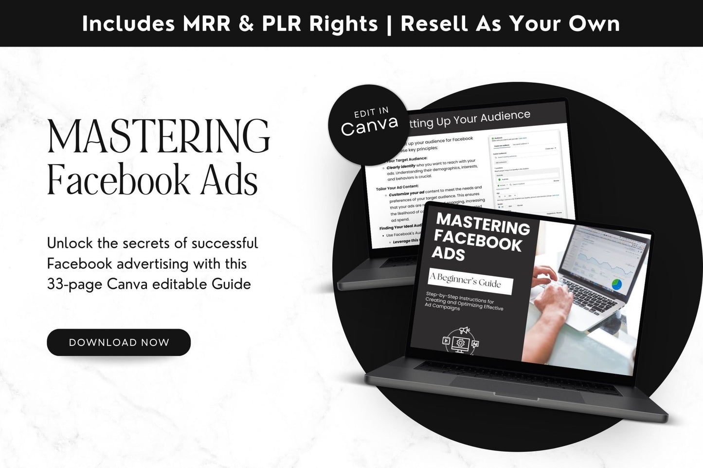 Mastering Facebook Ads: A Beginner's Guide with PLR & MRR - Boundless PLR
