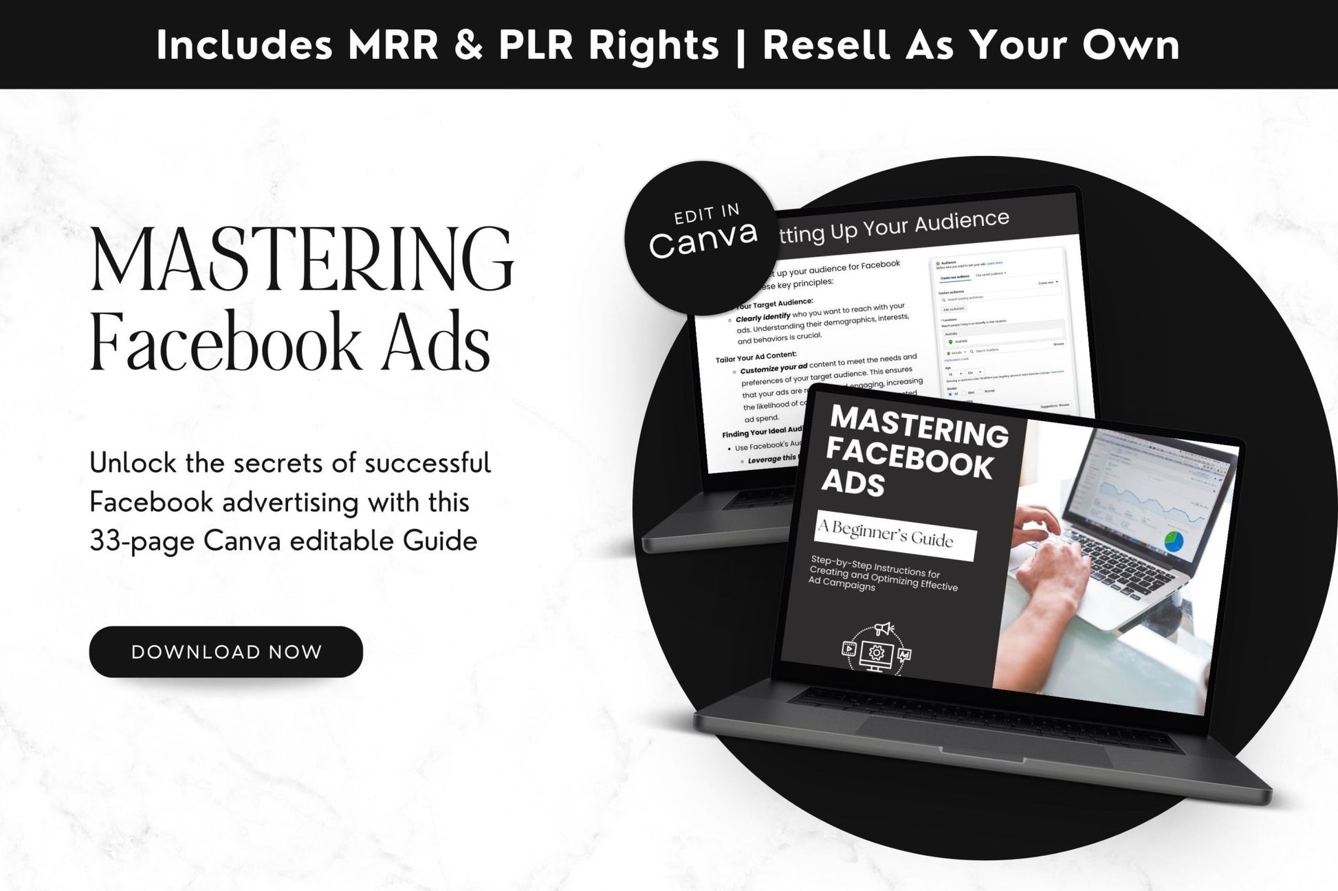 Mastering Facebook Ads: A Beginner's Guide with PLR & MRR - Boundless PLR