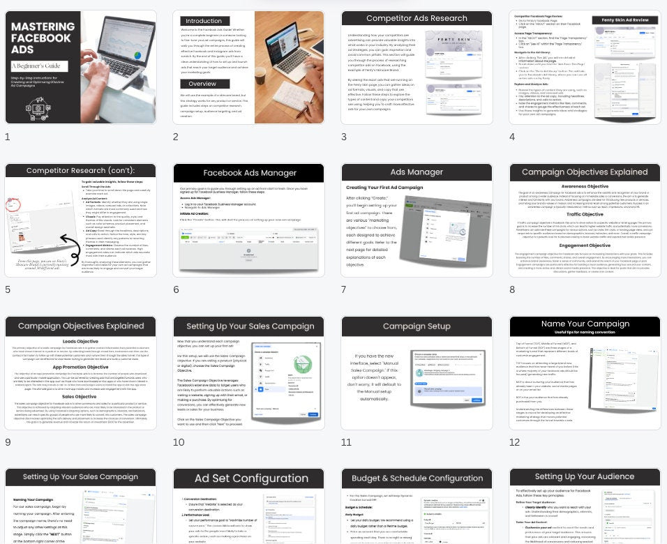 Mastering Facebook Ads: A Beginner's Guide with PLR & MRR - Boundless PLR