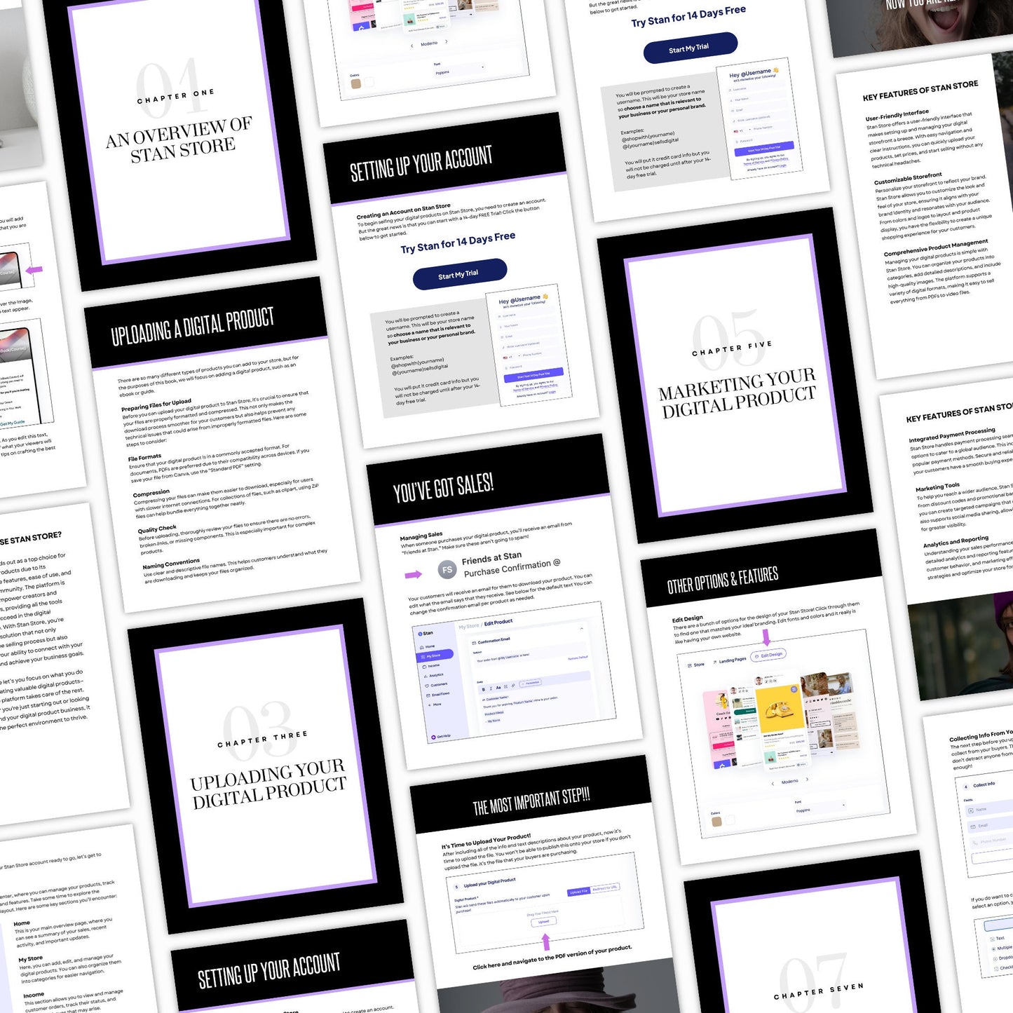 Plr Stan Store Guide, Stan Stores Set Up, The Essential Stan Store Handbook with Master Resell Right MRR and Private Label Rights PLR, Canva