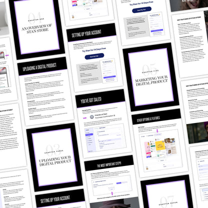 Plr Stan Store Guide, Stan Stores Set Up, The Essential Stan Store Handbook with Master Resell Right MRR and Private Label Rights PLR, Canva