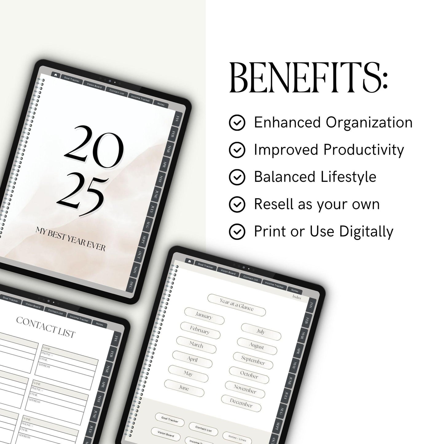 2025 Digital Planner | Canva Editable with MRR & PLR