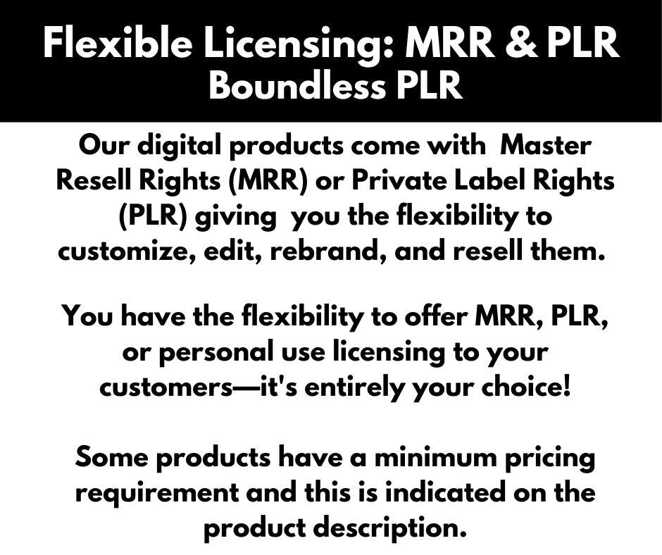 2025 Digital Planner | Canva Editable with MRR & PLR