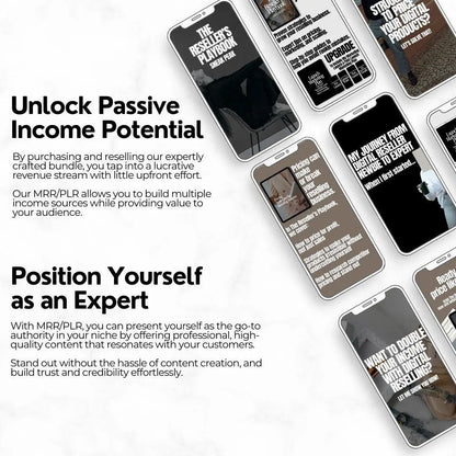 The Reseller’s Playbook – MRR & PLR Digital Product Bundle - Master Resell Rights - Boundless PLR