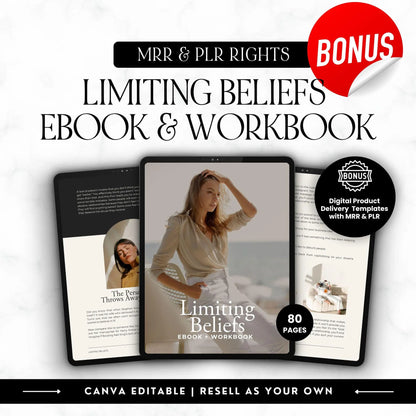 The Reseller’s Playbook – MRR & PLR Digital Product Bundle - Master Resell Rights - Boundless PLR