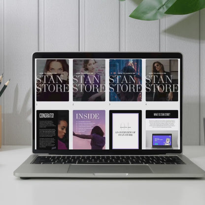 Plr Stan Store Guide, Stan Stores Set Up, The Essential Stan Store Handbook with Master Resell Right MRR and Private Label Rights PLR, Canva